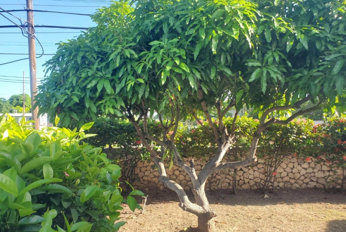 Fourteenth image of 400 Calvary Way in Hellshire Heights, St. Catherine, Jamaica - property is For Sale