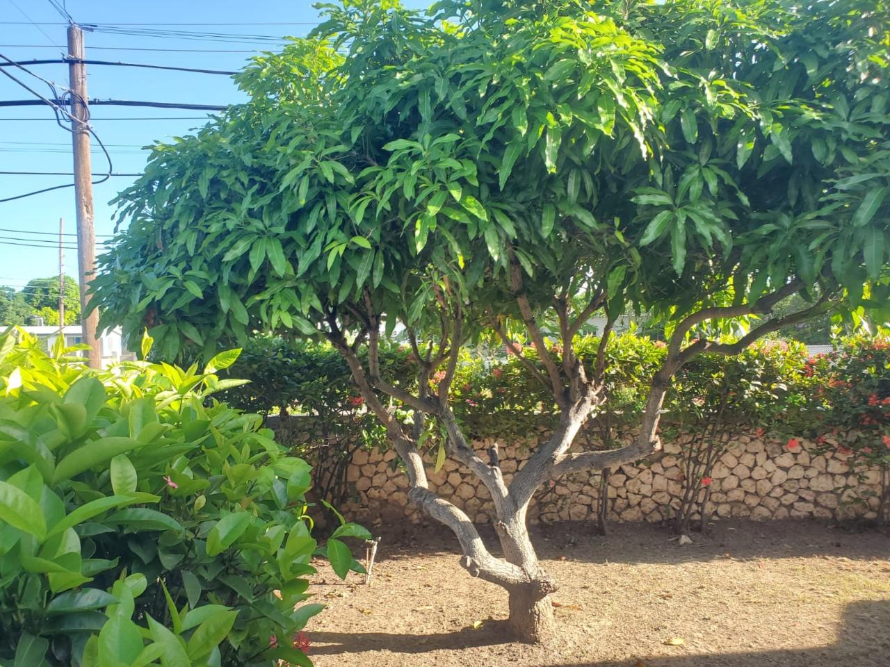 Fourteenth image of 400 Calvary Way in Hellshire Heights, St. Catherine, Jamaica - property is For Sale