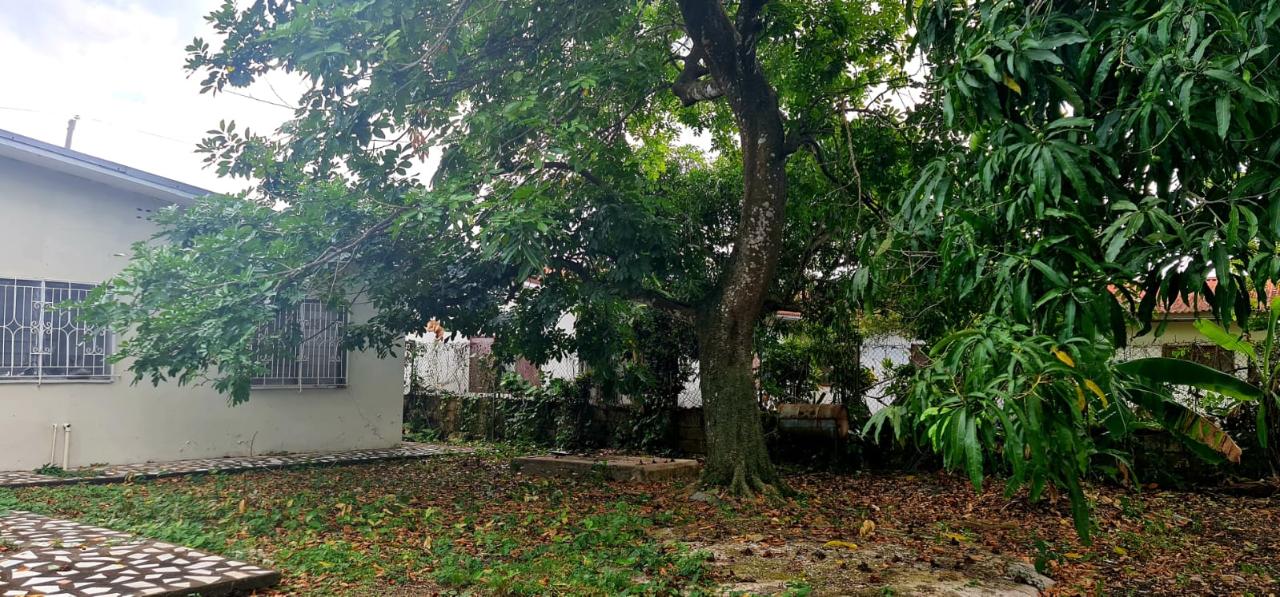 Eighteenth image of 60 Hibiscus Close, Westmore in Savanna-La-Mar, Westmoreland, Jamaica - property is For Sale