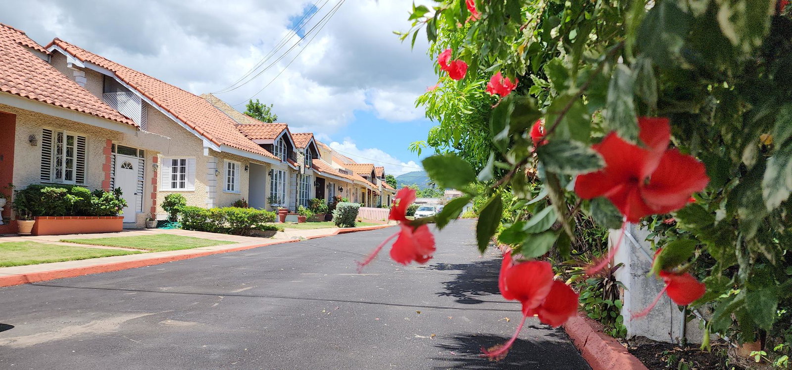 Twenty-First image of 8-55 Shortwood Road in Kingston 8, St. Andrew, Jamaica - property is For Rent