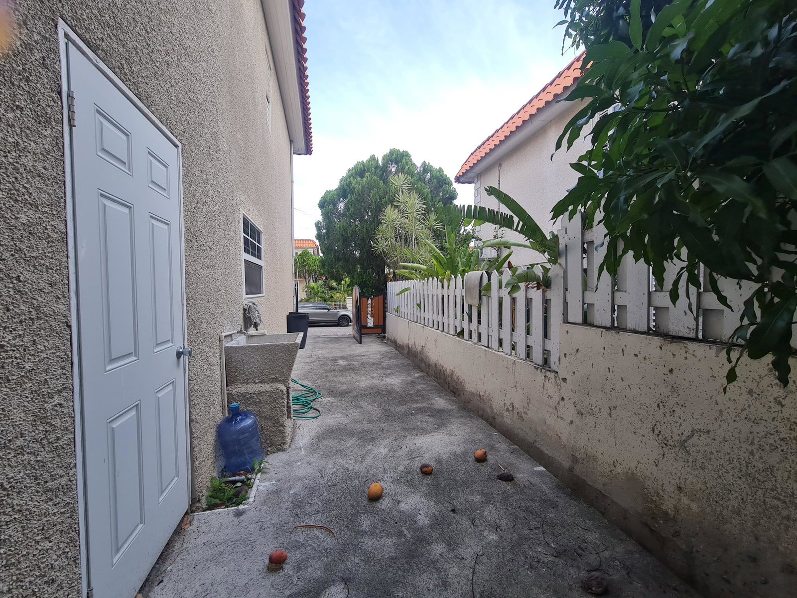 Twenty-Fourth image of 31 Murray Drive in Kingston 6, St. Andrew, Jamaica - property is For Rent