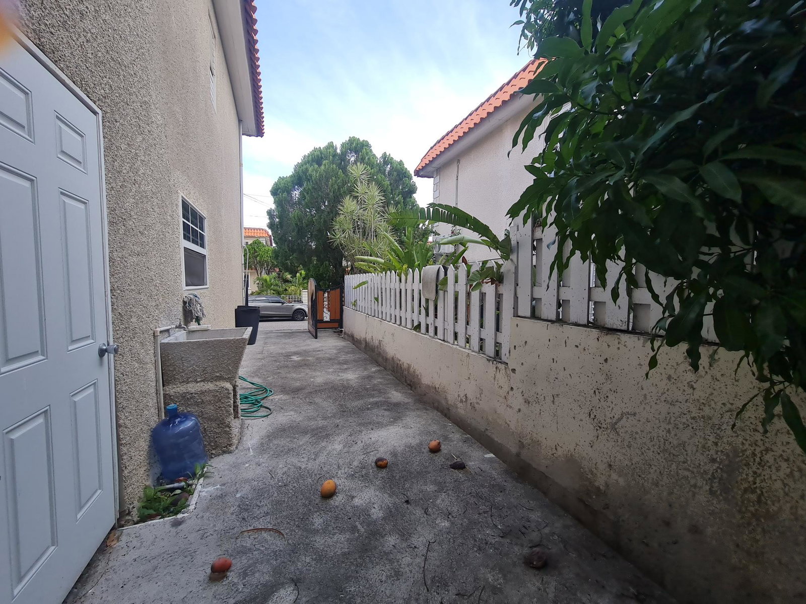 Twenty-Fifth image of 31 Murray Drive in Kingston 6, St. Andrew, Jamaica - property is For Rent