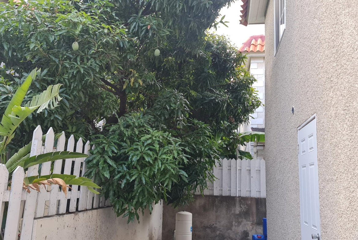 Twenty-Seventh image of 31 Murray Drive in Kingston 6, St. Andrew, Jamaica - property is For Rent