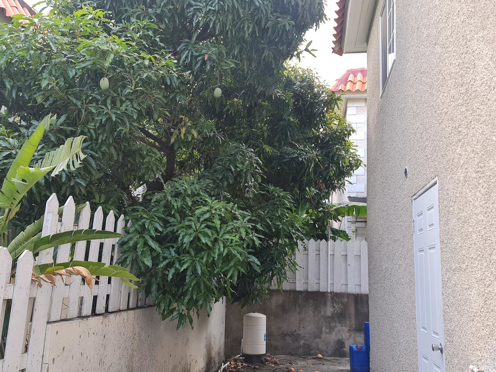 Twenty-Seventh image of 31 Murray Drive in Kingston 6, St. Andrew, Jamaica - property is For Rent