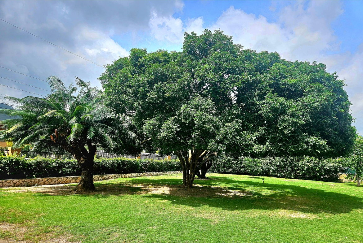 Fourth image of 9 Gloucester Ave, Kgn 6 in Kingston 6, St. Andrew, Jamaica - property is For Rent
