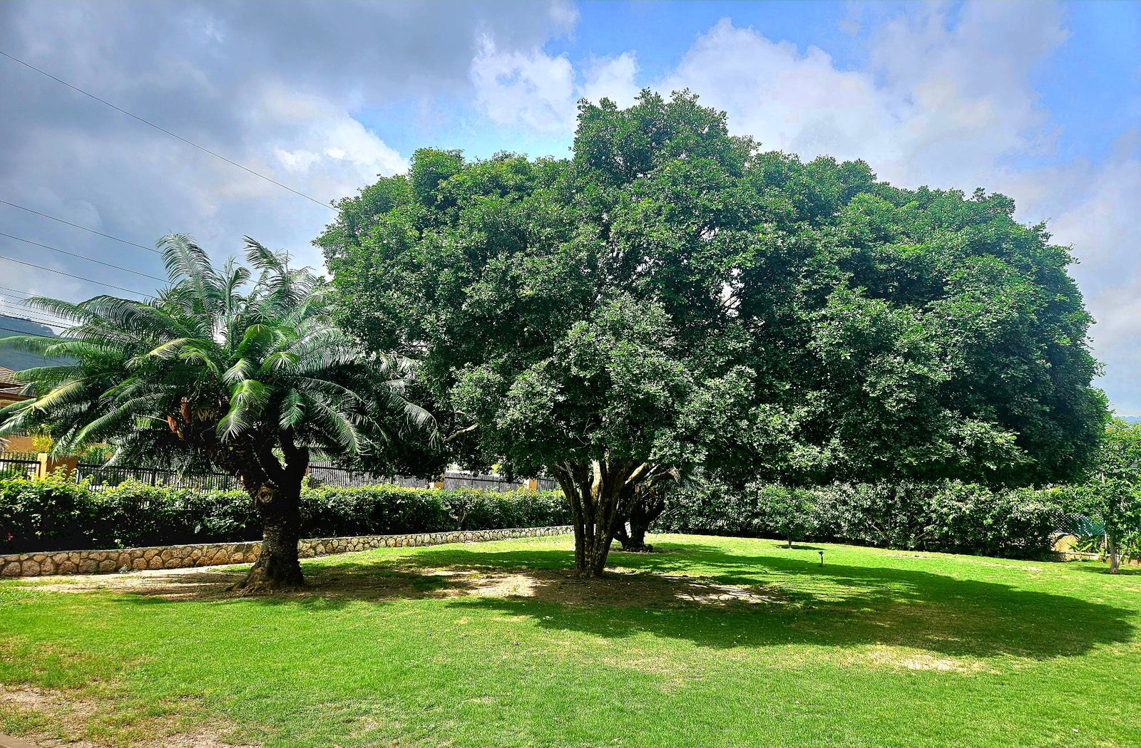 Fourth image of 9 Gloucester Ave, Kgn 6 in Kingston 6, St. Andrew, Jamaica - property is For Rent