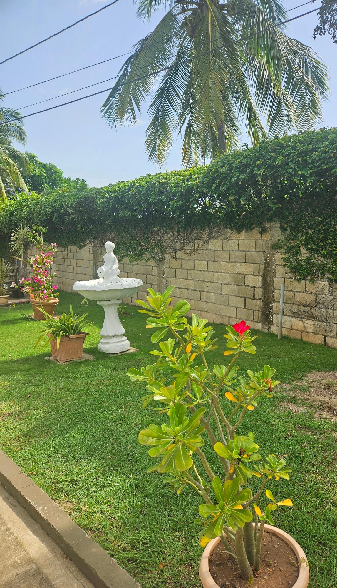 Sixth image of 9 Gloucester Ave, Kgn 6 in Kingston 6, St. Andrew, Jamaica - property is For Rent