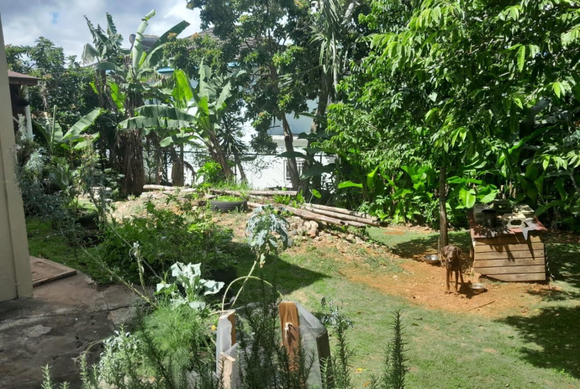 Seventh image of 5 Battersea Mews, Ingleside in Mandeville, Manchester, Jamaica - property is For Sale