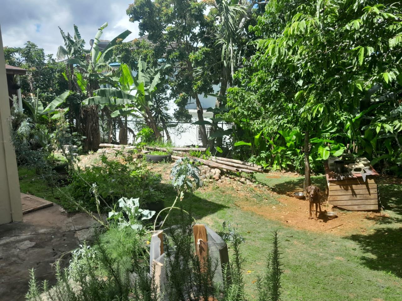 Spacious-4-Bedroom-Bungalow-for-Sale-in-Ingleside-Jamaica Seventh image of 5 Battersea Mews, Ingleside in Mandeville, Manchester, Jamaica - property is For Sale