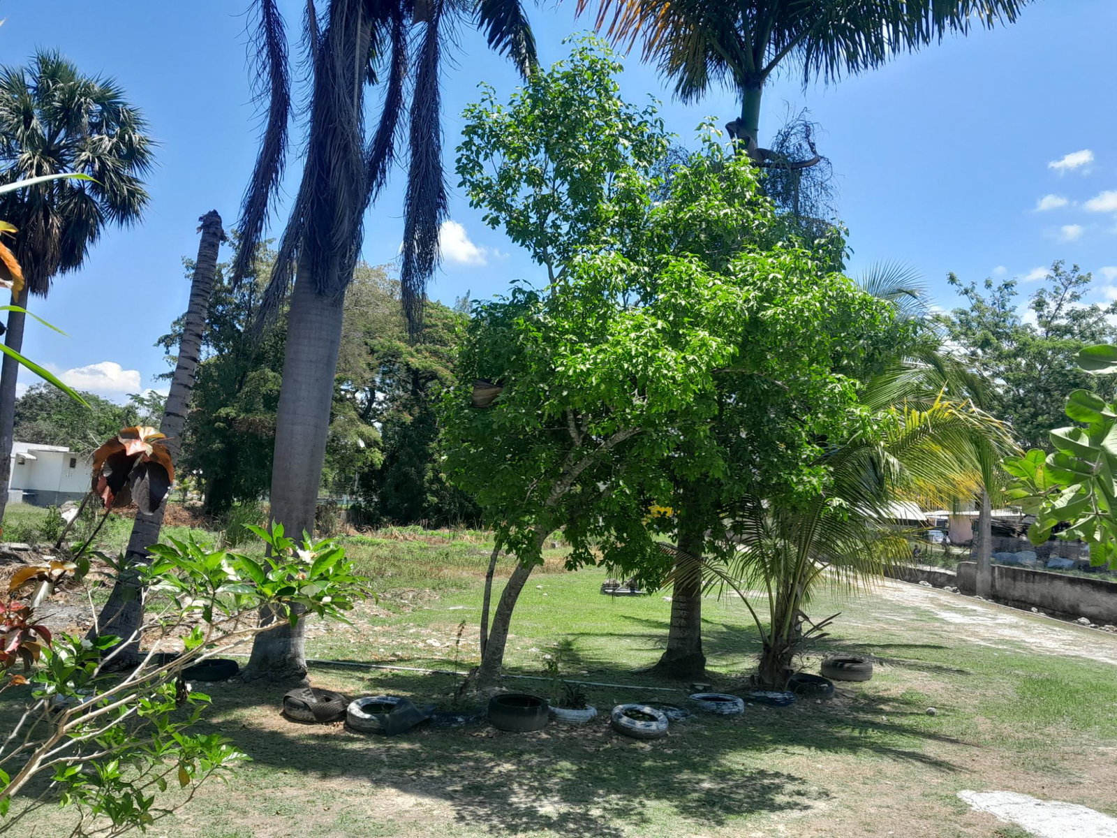 Fourth image of Farm Pen, Savanna la Mar, in Farm Pen, Westmoreland, Jamaica - property is For Sale