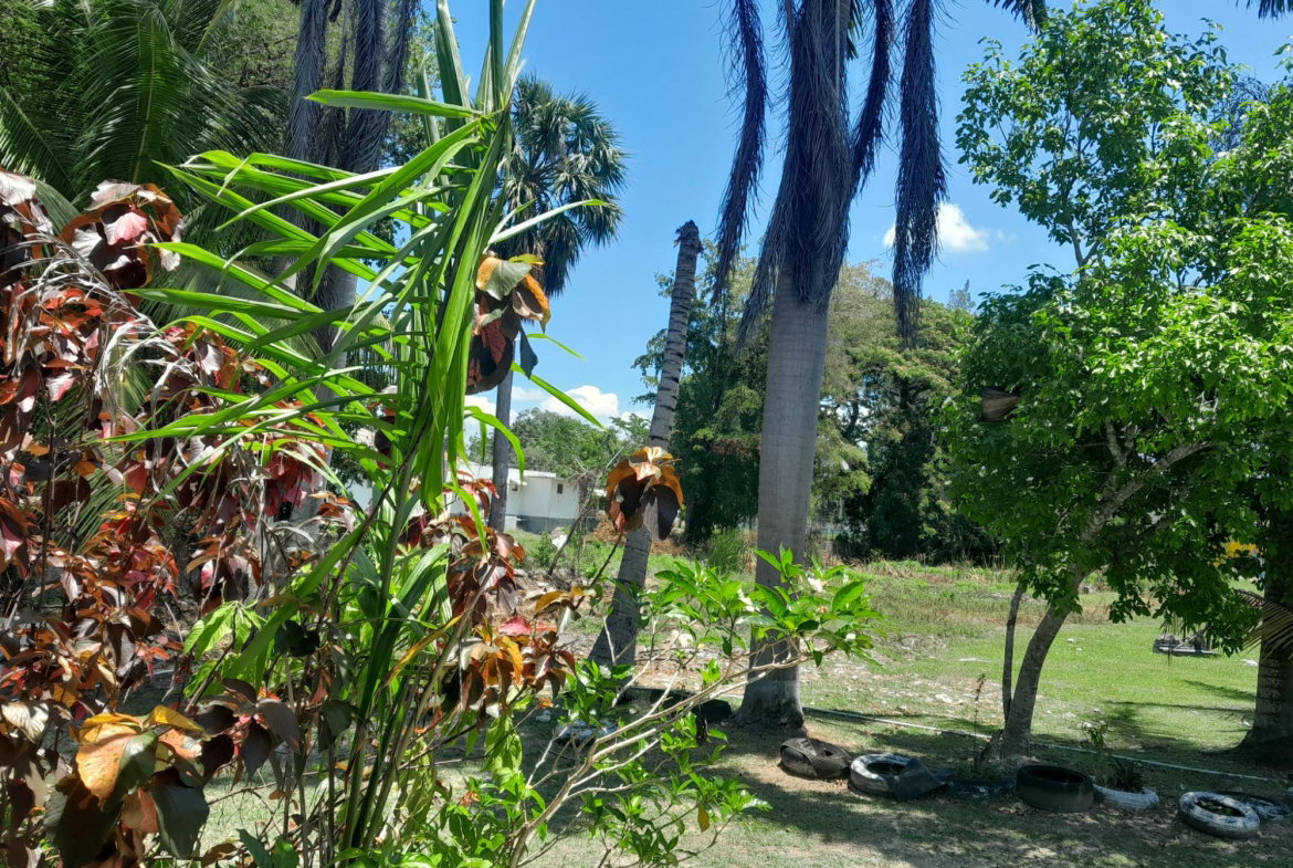 Fifth image of Farm Pen, Savanna la Mar, in Farm Pen, Westmoreland, Jamaica - property is For Sale