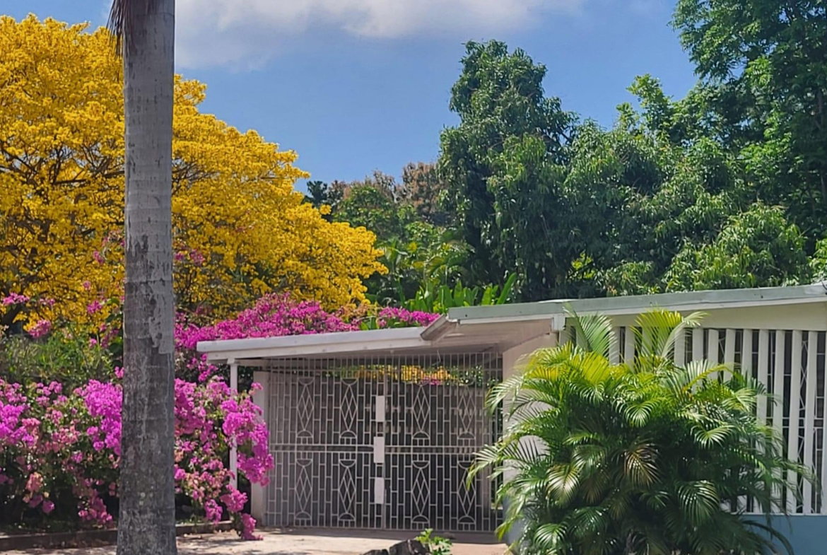 First image of 1 Gibson Drive in Hope Pastures, St. Andrew, Jamaica - property is For Rent