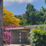 First image of 1 Gibson Drive in Hope Pastures, St. Andrew, Jamaica - property is For Rent