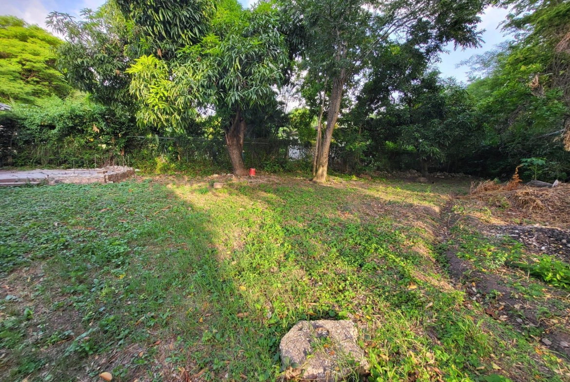 Fourth image of 1 Gibson Drive in Hope Pastures, St. Andrew, Jamaica - property is For Rent