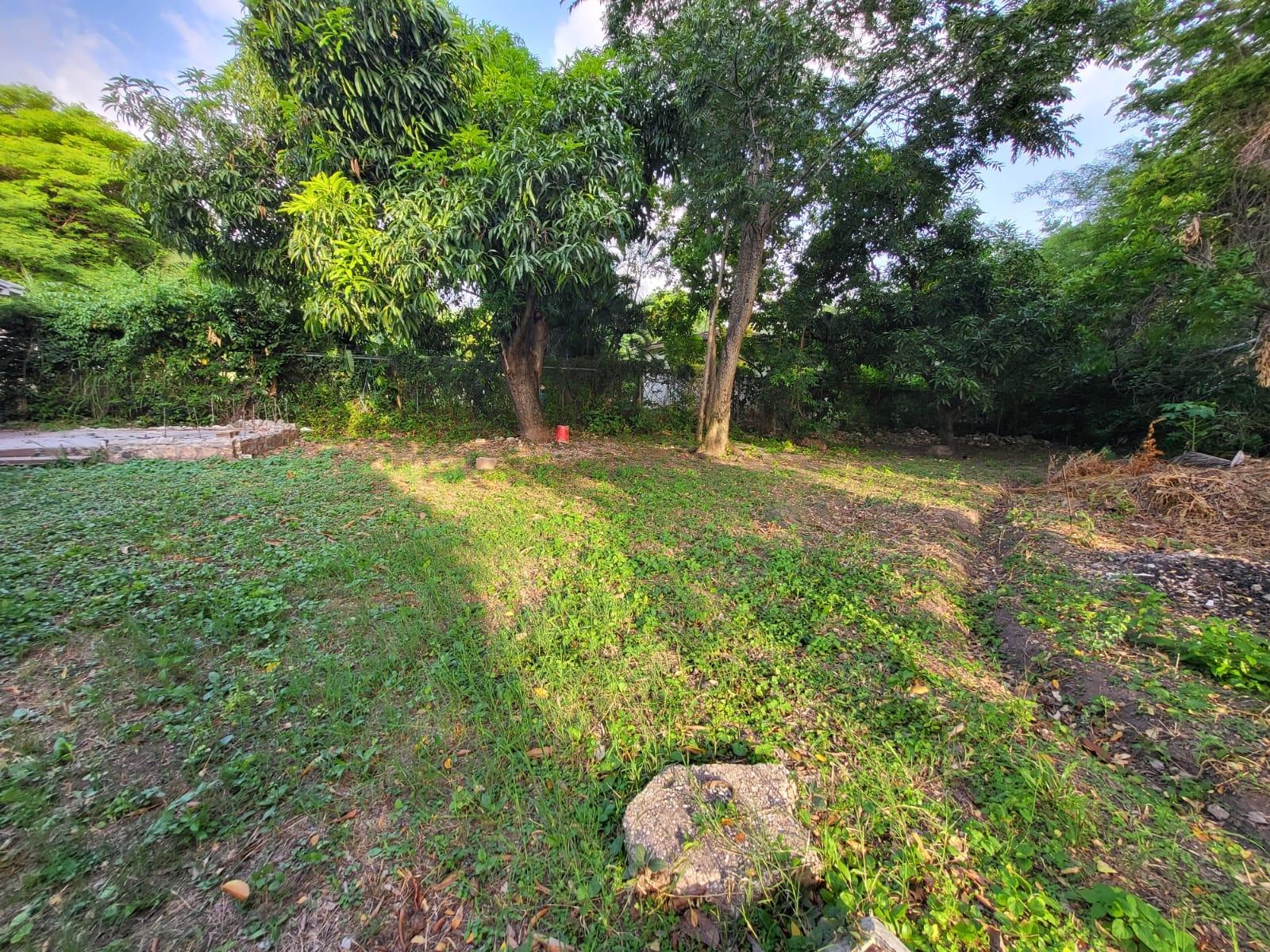 Fourth image of 1 Gibson Drive in Hope Pastures, St. Andrew, Jamaica - property is For Rent