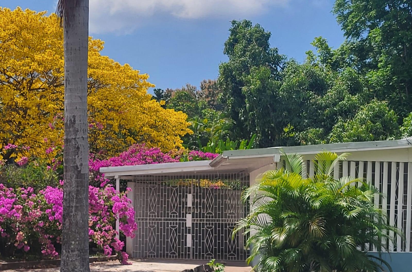 First image of 1 Gibson Drive in Hope Pastures, St. Andrew, Jamaica - property is For Rent