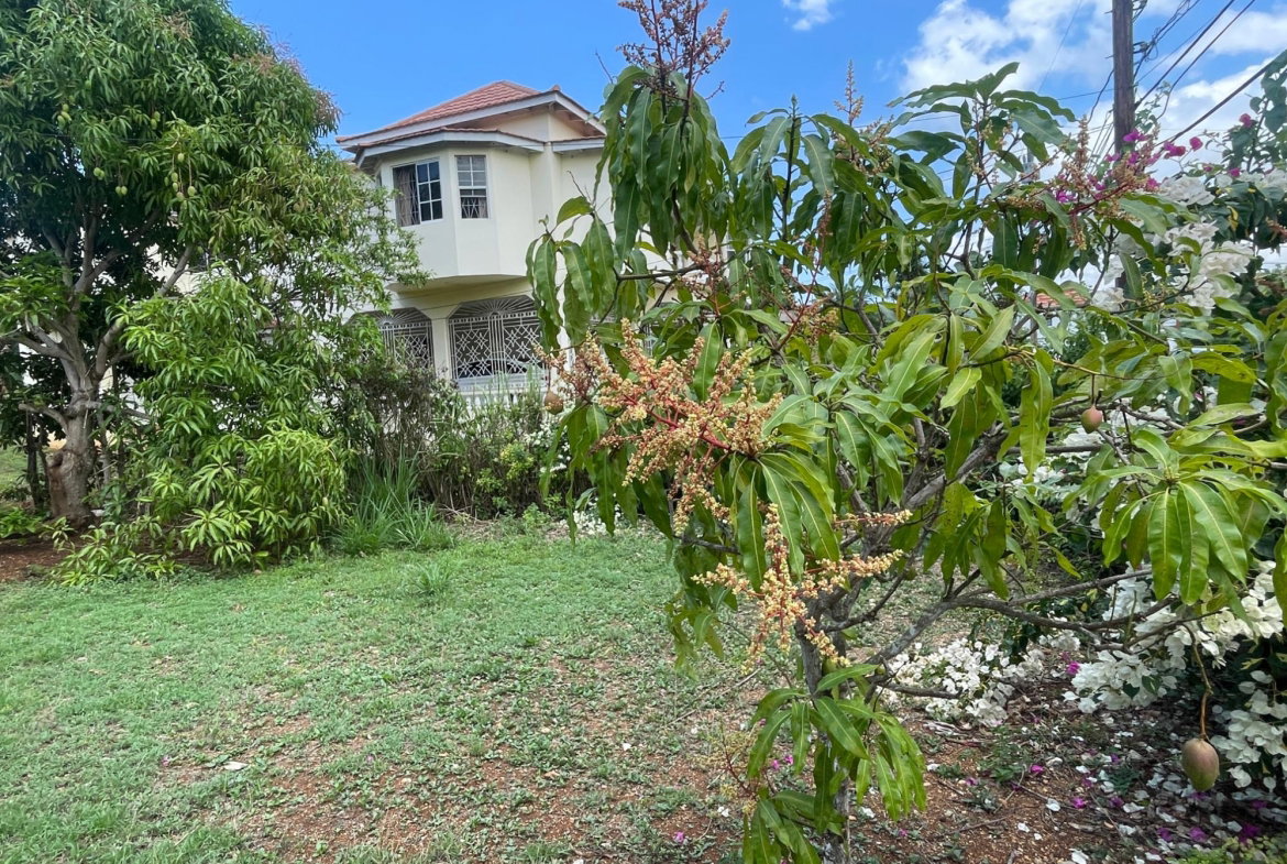 Eleventh image of Farm Hill Road in Exchange, St. Ann, Jamaica - property is For Sale