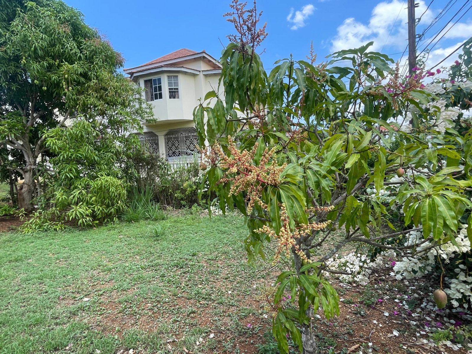 Eleventh image of Farm Hill Road in Exchange, St. Ann, Jamaica - property is For Sale