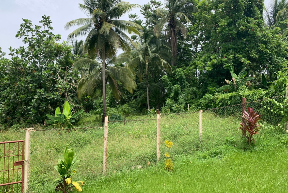 Fifteenth image of 1-0 Victoria District in Linstead, St. Catherine, Jamaica - property is For Sale