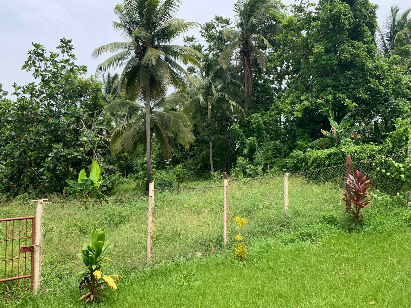 Fifteenth image of 1-0 Victoria District in Linstead, St. Catherine, Jamaica - property is For Sale