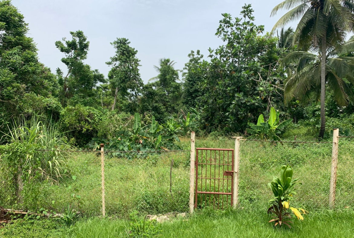 Sixteenth image of 1-0 Victoria District in Linstead, St. Catherine, Jamaica - property is For Sale