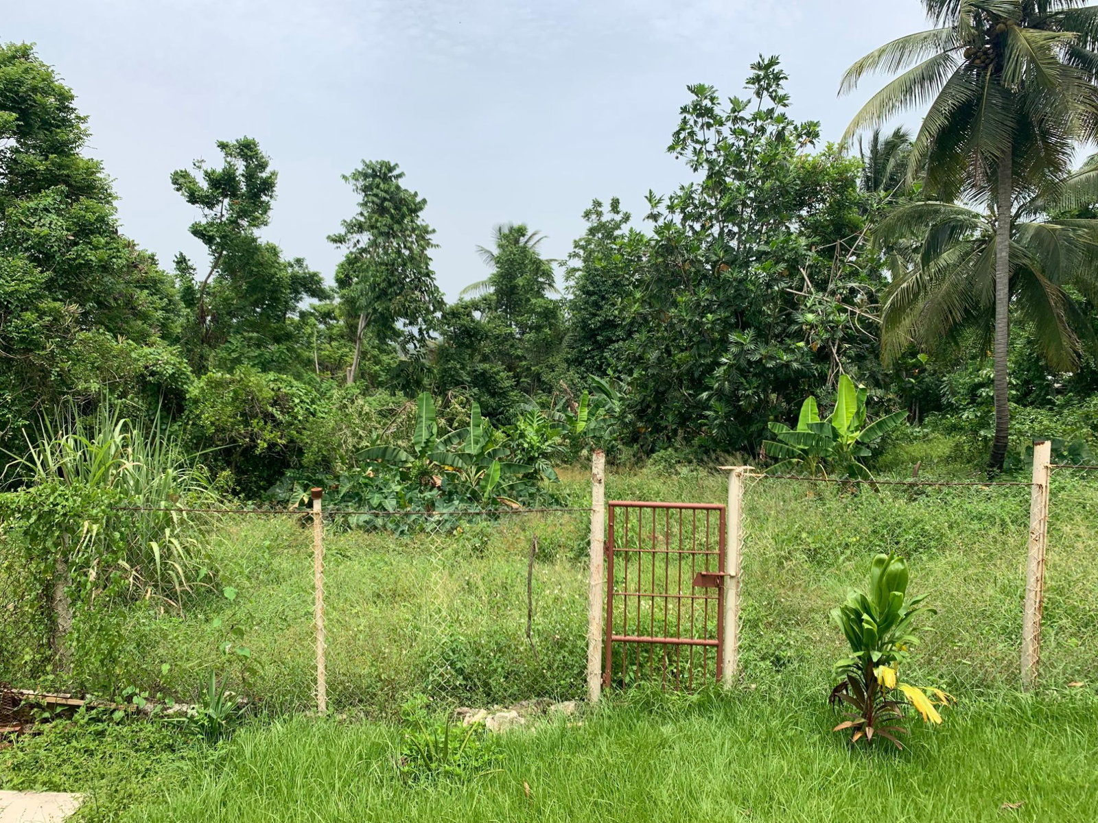 Sixteenth image of 1-0 Victoria District in Linstead, St. Catherine, Jamaica - property is For Sale