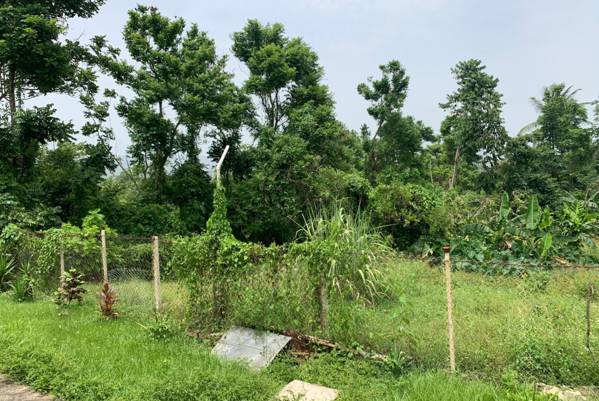 Seventeenth image of 1-0 Victoria District in Linstead, St. Catherine, Jamaica - property is For Sale
