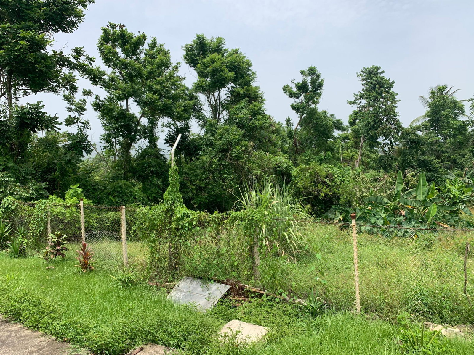 Seventeenth image of 1-0 Victoria District in Linstead, St. Catherine, Jamaica - property is For Sale