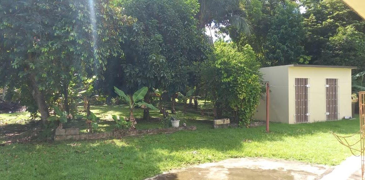 Second image of Lots 2 & 4 Georges Plain in White House WD, Westmoreland, Jamaica - property is For Sale