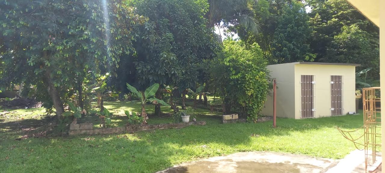 Spacious-4-Bedroom-Home-for-Sale-in-Westmoreland-Jamaica Second image of Lots 2 & 4 Georges Plain in White House WD, Westmoreland, Jamaica - property is For Sale