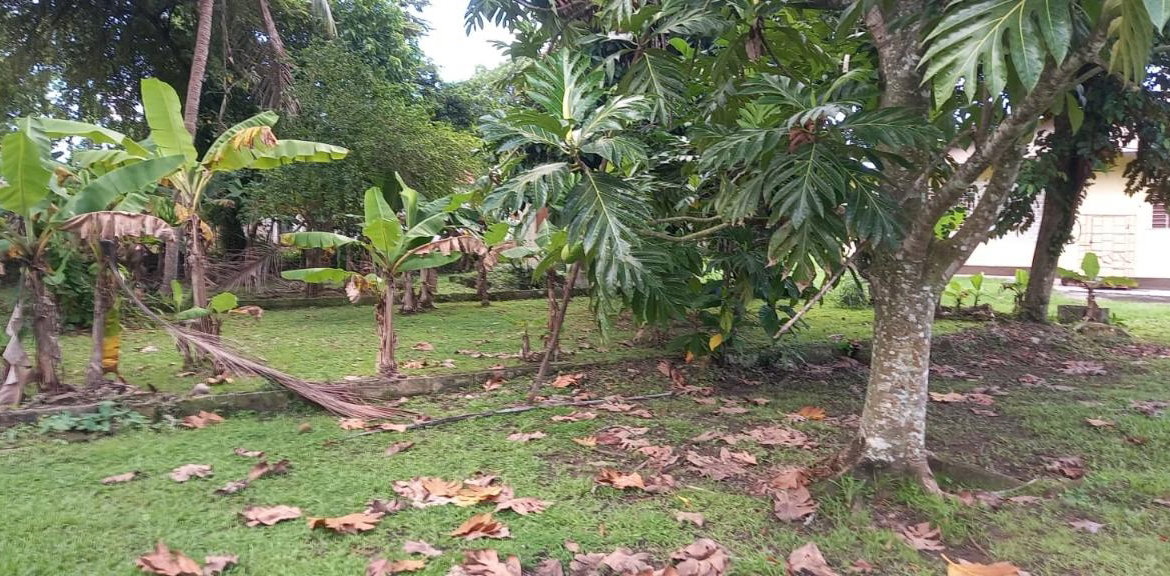 Seventh image of Lots 2 & 4 Georges Plain in White House WD, Westmoreland, Jamaica - property is For Sale