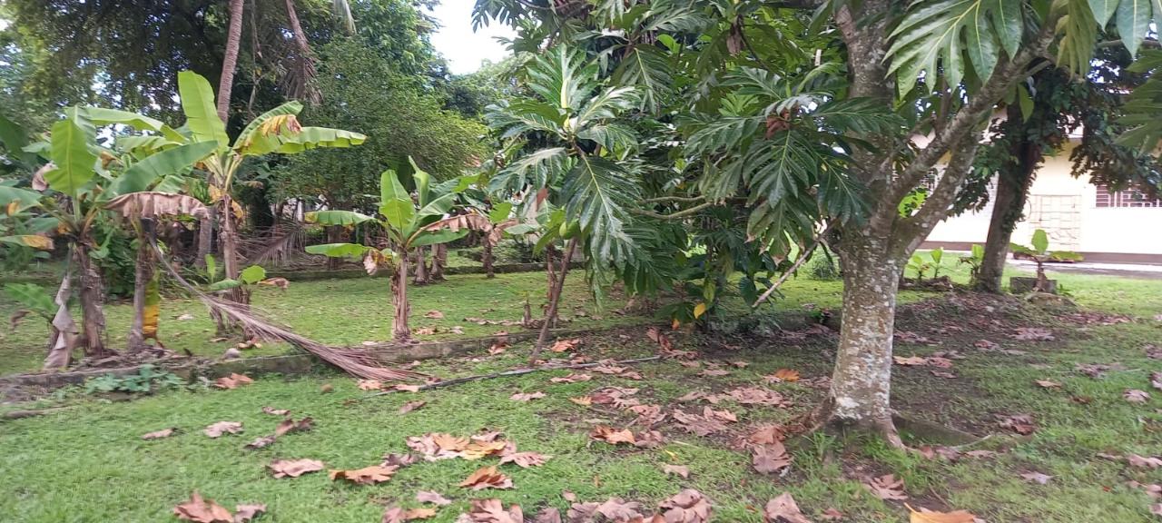 Spacious-4-Bedroom-Home-for-Sale-in-Westmoreland-Jamaica Seventh image of Lots 2 & 4 Georges Plain in White House WD, Westmoreland, Jamaica - property is For Sale