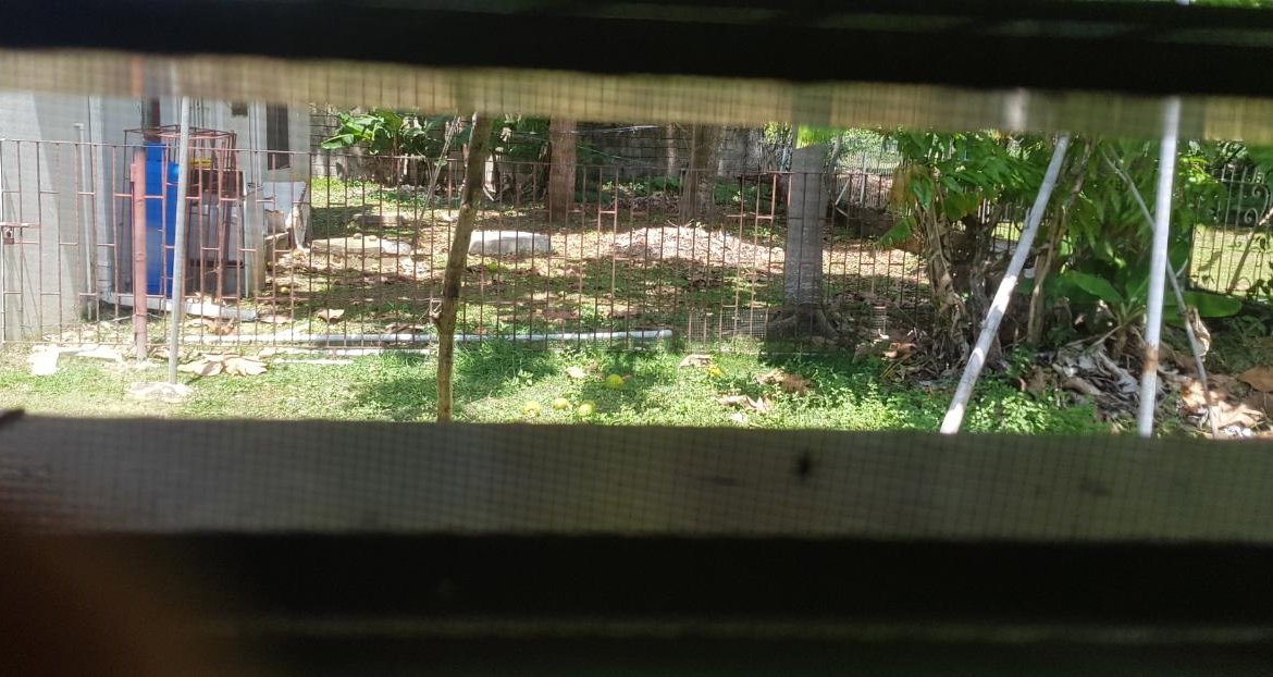 Twenty-Fifth image of 7 Emmaville Ave in Savanna-La-Mar, Westmoreland, Jamaica - property is For Sale