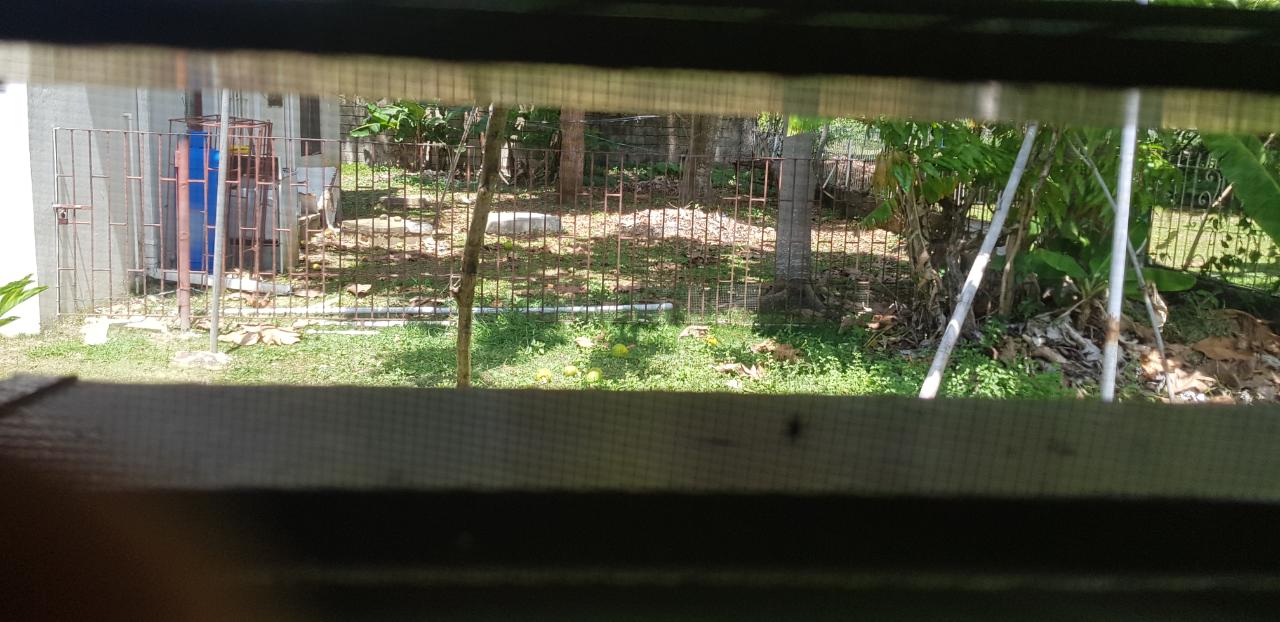 Twenty-Fifth image of 7 Emmaville Ave in Savanna-La-Mar, Westmoreland, Jamaica - property is For Sale