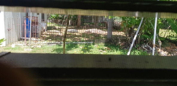 Twenty-Fifth image of 7 Emmaville Ave in Savanna-La-Mar, Westmoreland, Jamaica - property is For Sale