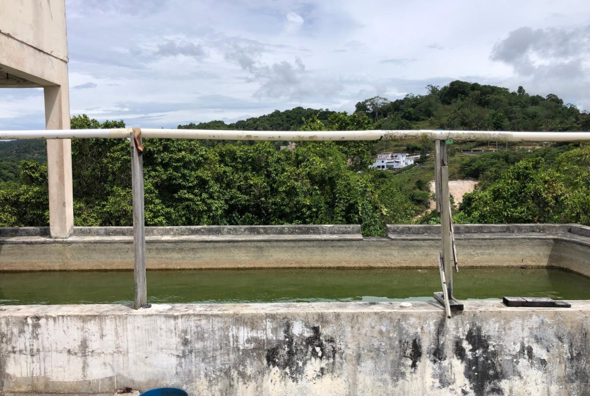 Twenty-Fourth image of Lot 15 Linvale Development in Browns Town, St. Ann, Jamaica - property is For Sale