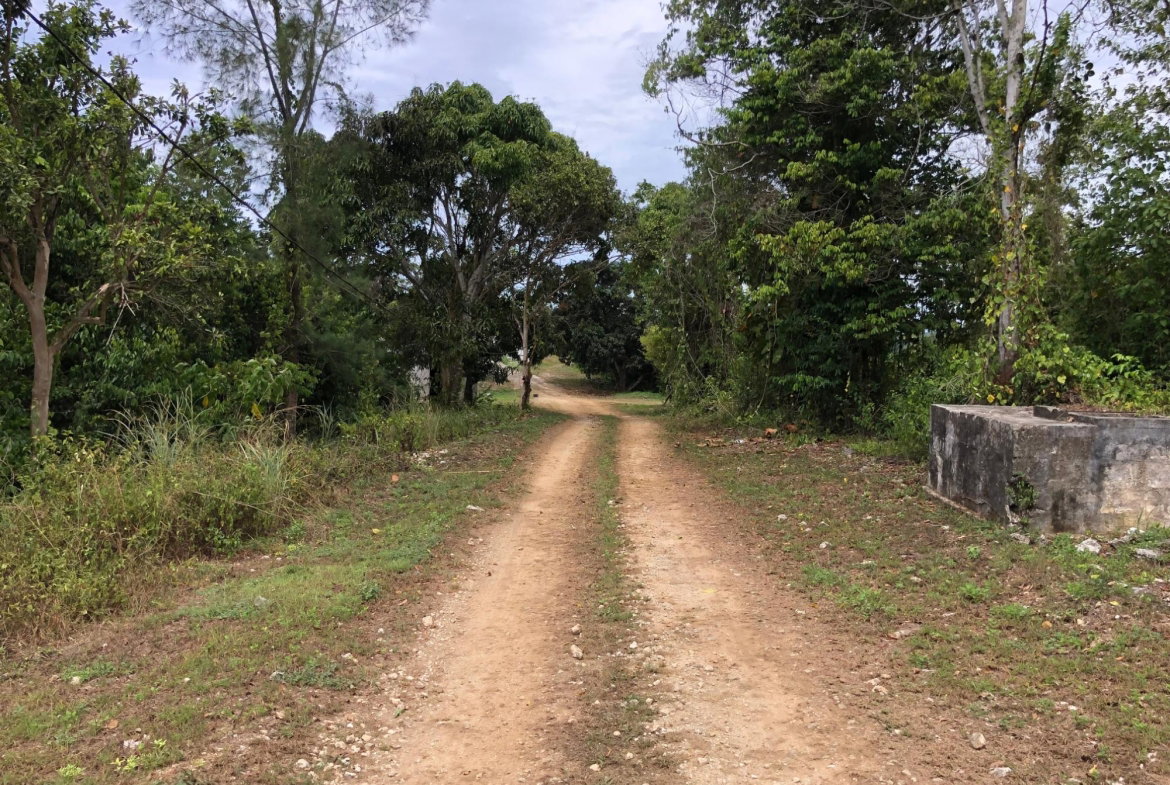 Fourth image of Lot 15 Linvale Development in Browns Town, St. Ann, Jamaica - property is For Sale