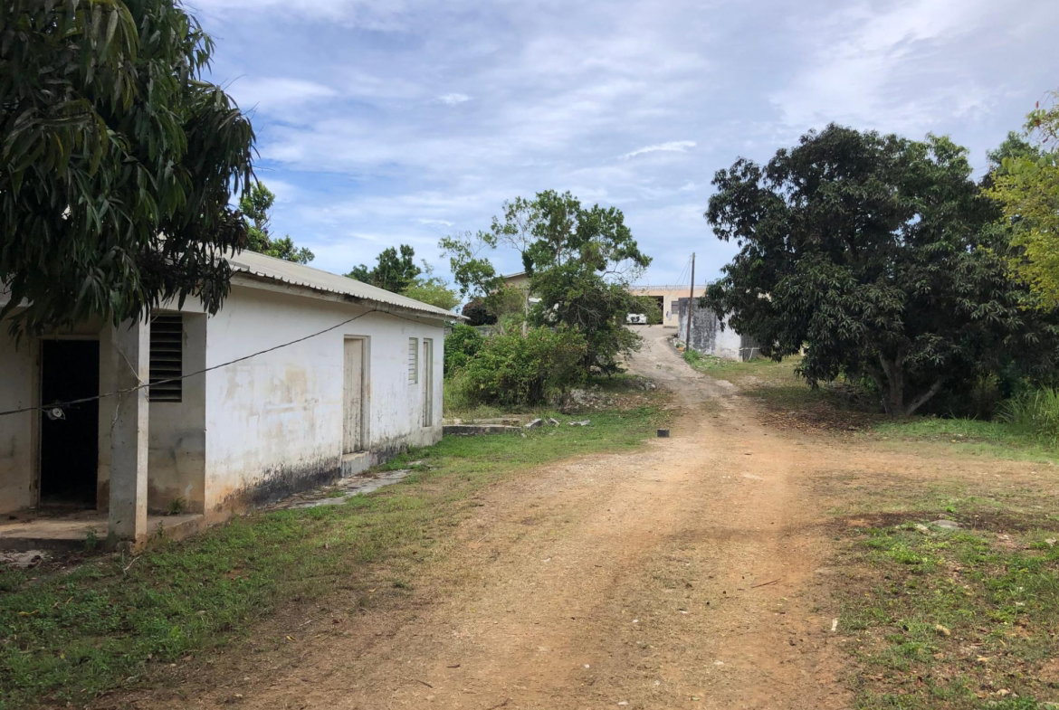 Fifth image of Lot 15 Linvale Development in Browns Town, St. Ann, Jamaica - property is For Sale