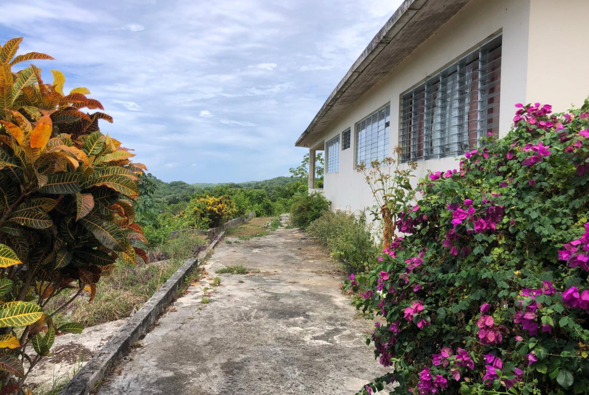 Ninth image of Lot 15 Linvale Development in Browns Town, St. Ann, Jamaica - property is For Sale