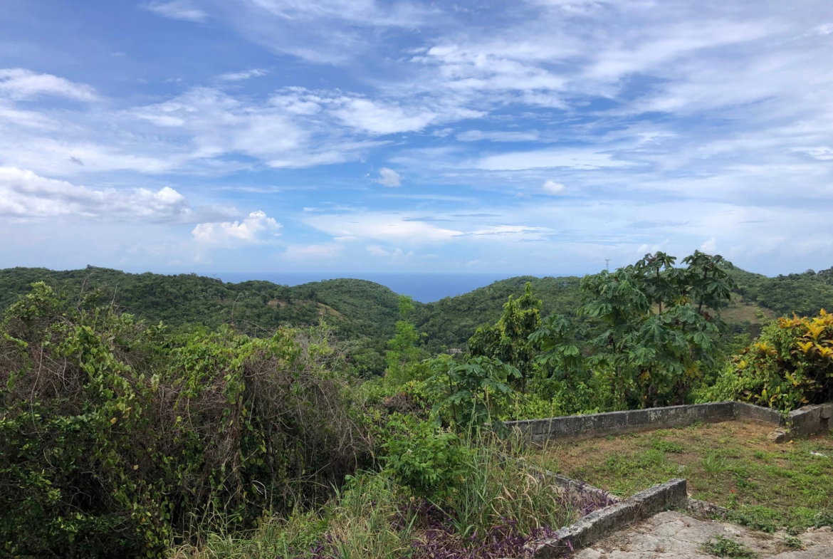 Tenth image of Lot 15 Linvale Development in Browns Town, St. Ann, Jamaica - property is For Sale