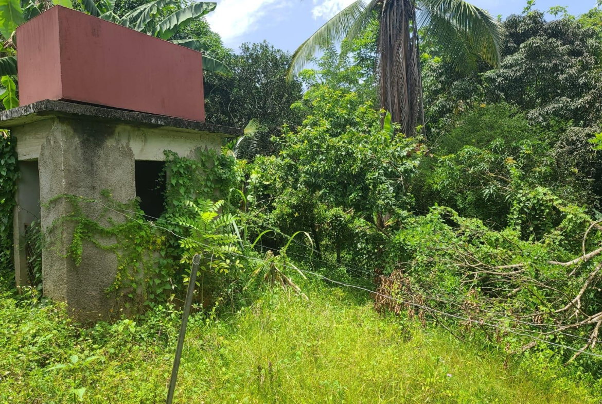 Twelfth image of Bickersteth in Montego Bay, St. James, Jamaica - property is For Sale