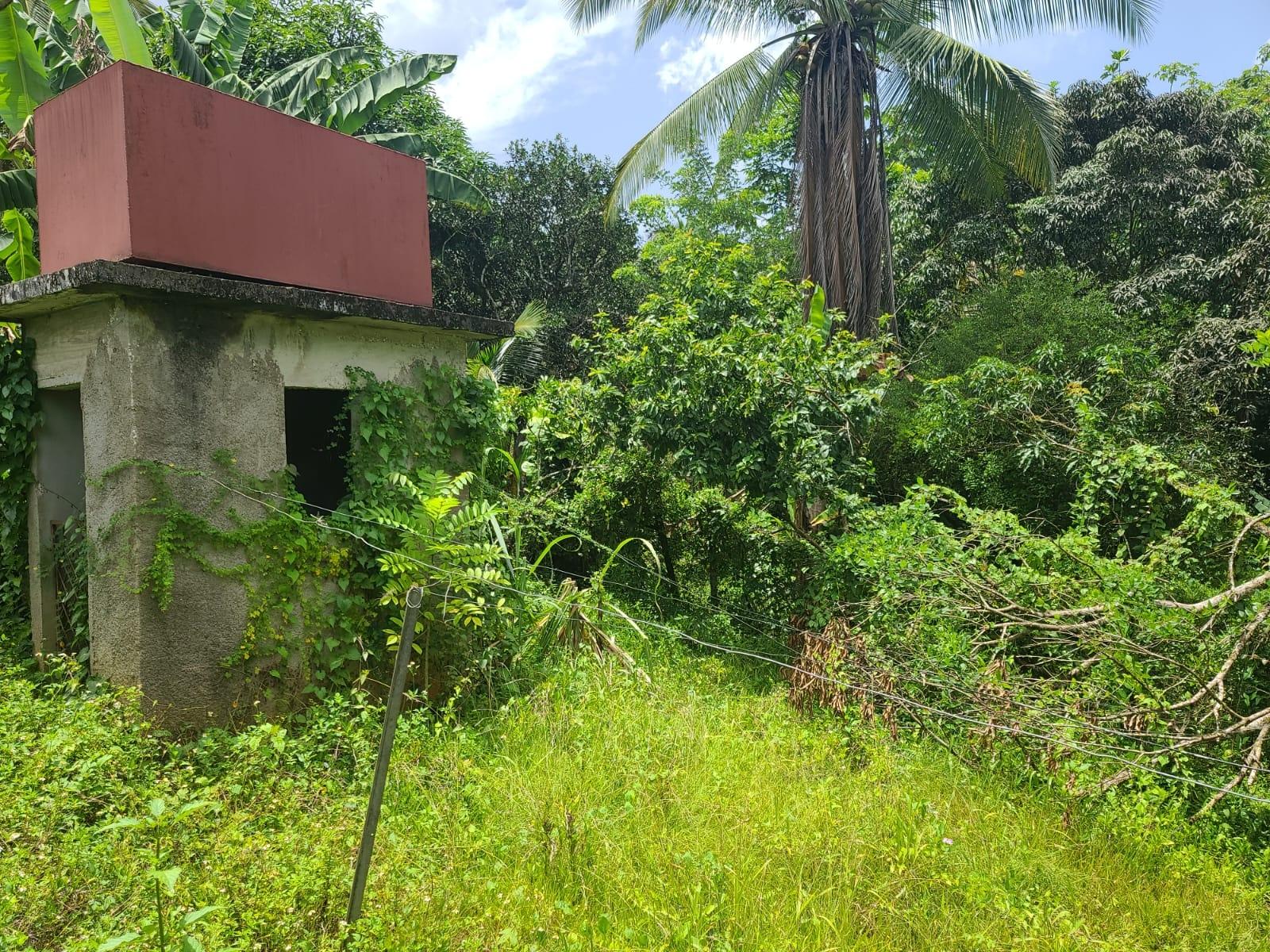 Spacious-4-Bedroom-House-for-Sale-in-Bickersteth-Jamaica Twelfth image of Bickersteth in Montego Bay, St. James, Jamaica - property is For Sale