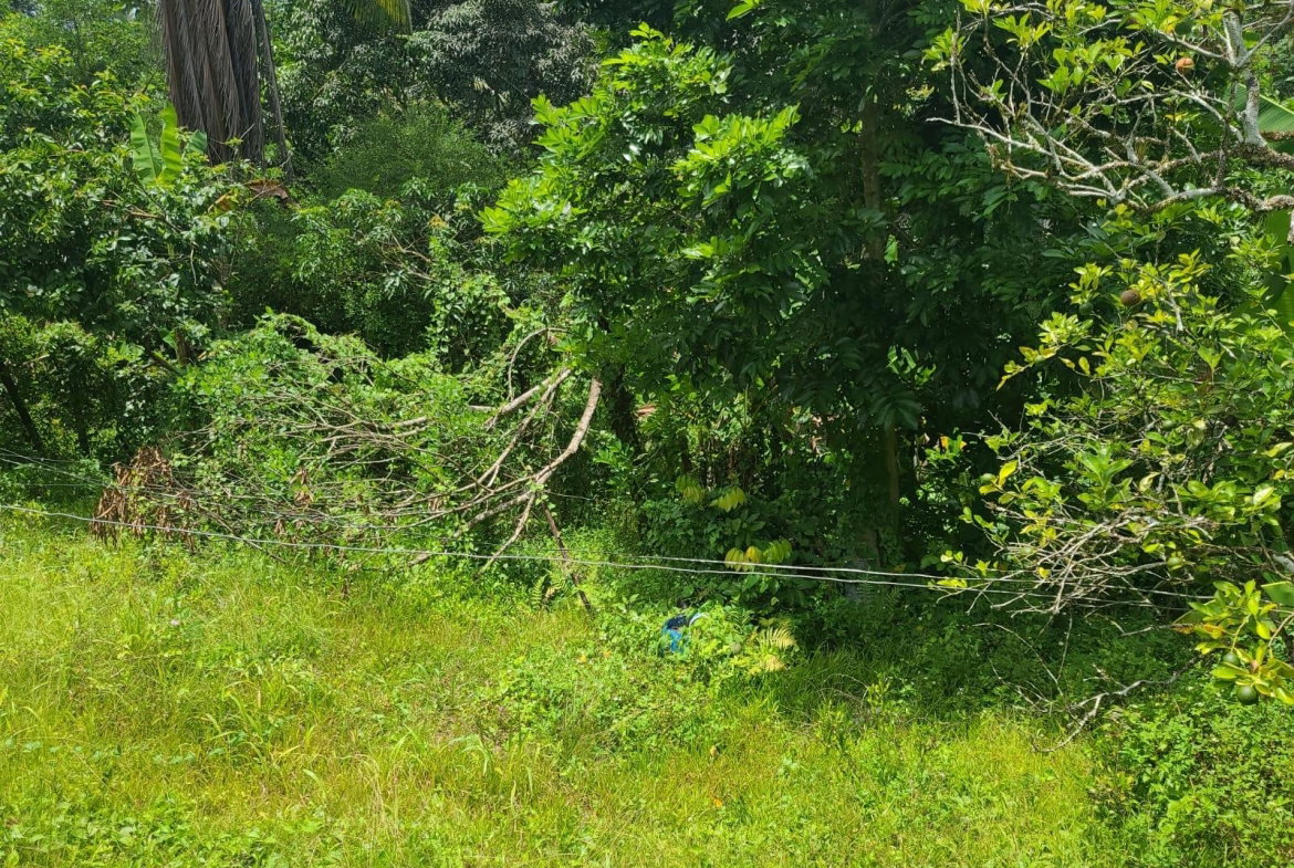 Twenty-Fifth image of Bickersteth in Montego Bay, St. James, Jamaica - property is For Sale