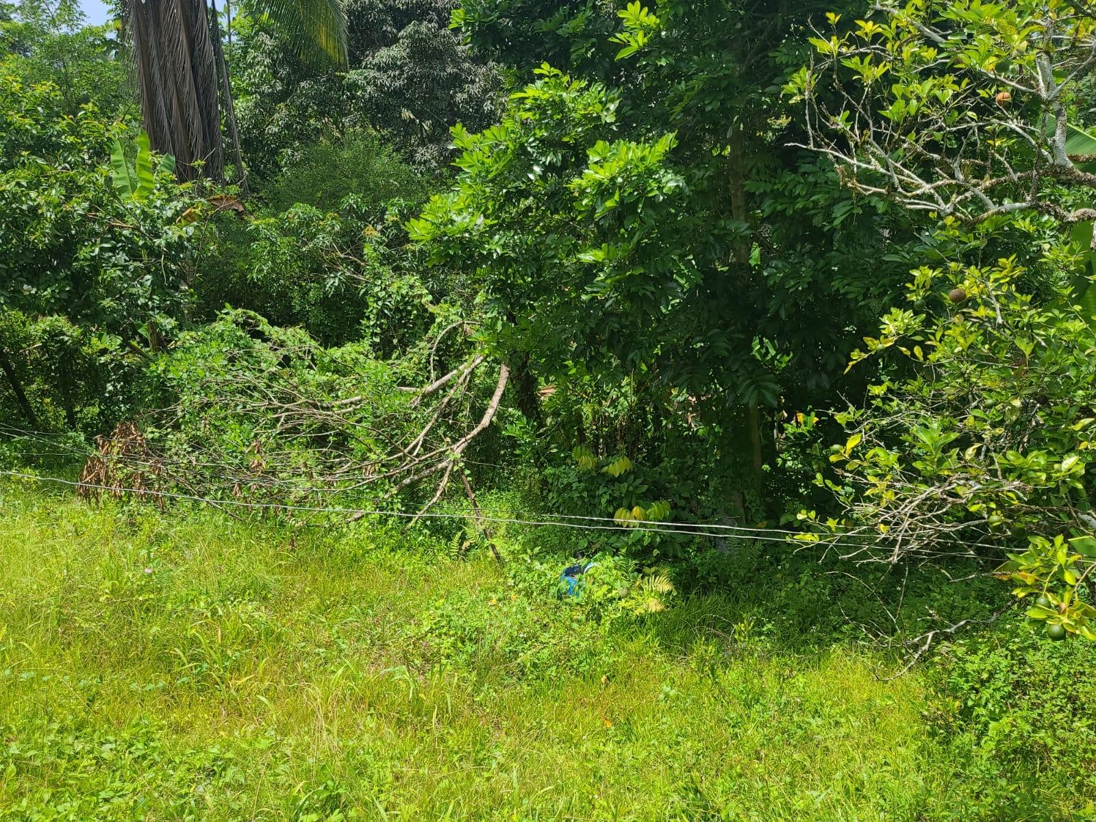 Spacious-4-Bedroom-House-for-Sale-in-Bickersteth-Jamaica Twenty-Fifth image of Bickersteth in Montego Bay, St. James, Jamaica - property is For Sale