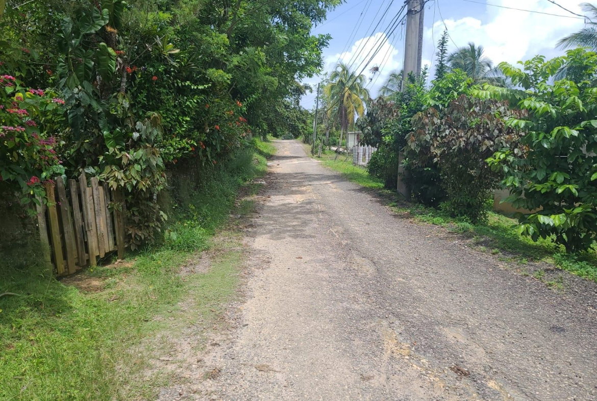 Twenty-Seventh image of Bickersteth in Montego Bay, St. James, Jamaica - property is For Sale