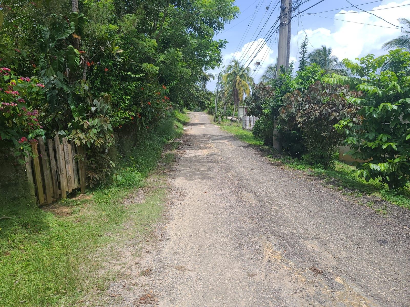 Spacious-4-Bedroom-House-for-Sale-in-Bickersteth-Jamaica Twenty-Seventh image of Bickersteth in Montego Bay, St. James, Jamaica - property is For Sale