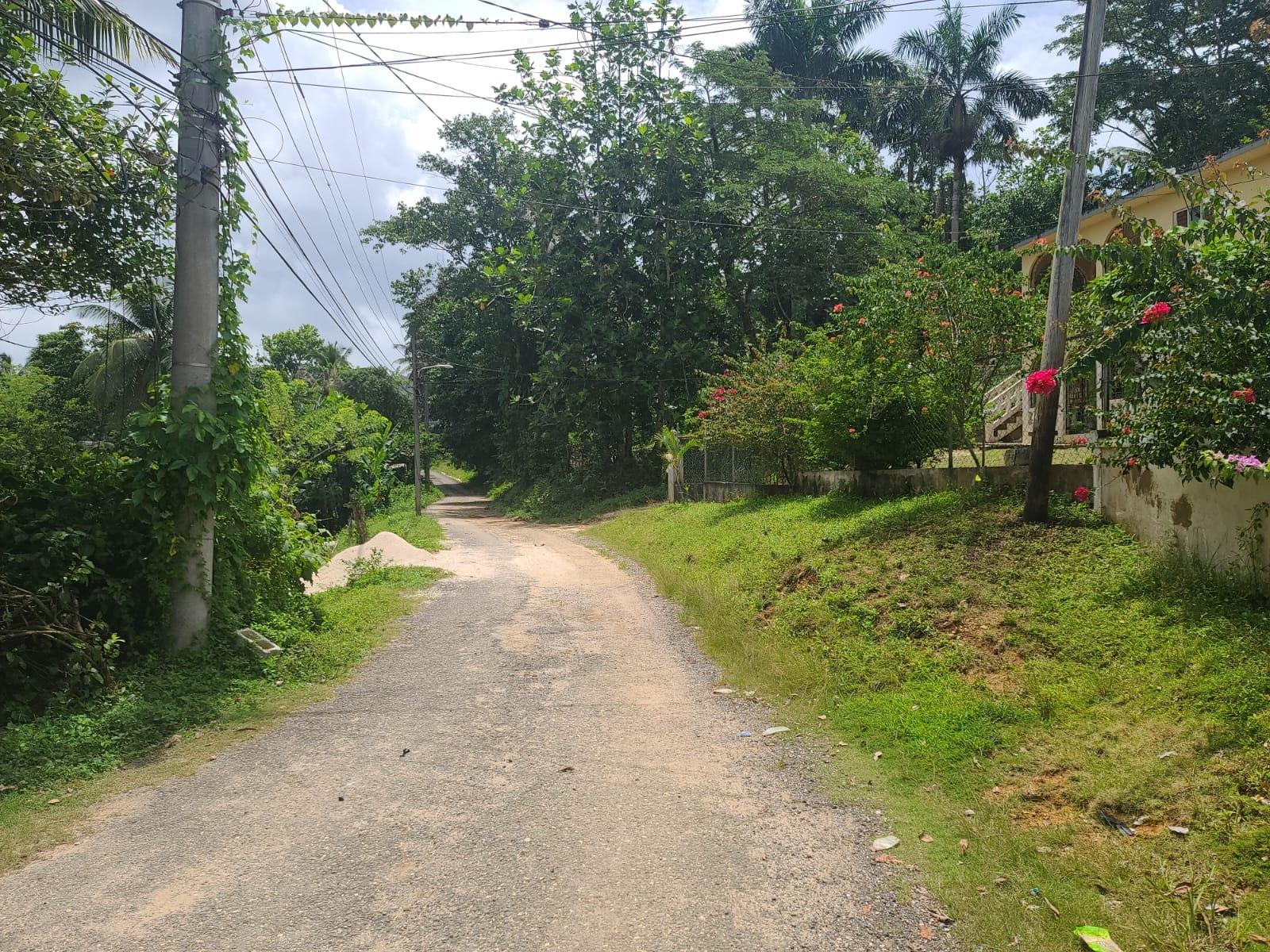 Spacious-4-Bedroom-House-for-Sale-in-Bickersteth-Jamaica Twenty-Ninth image of Bickersteth in Montego Bay, St. James, Jamaica - property is For Sale