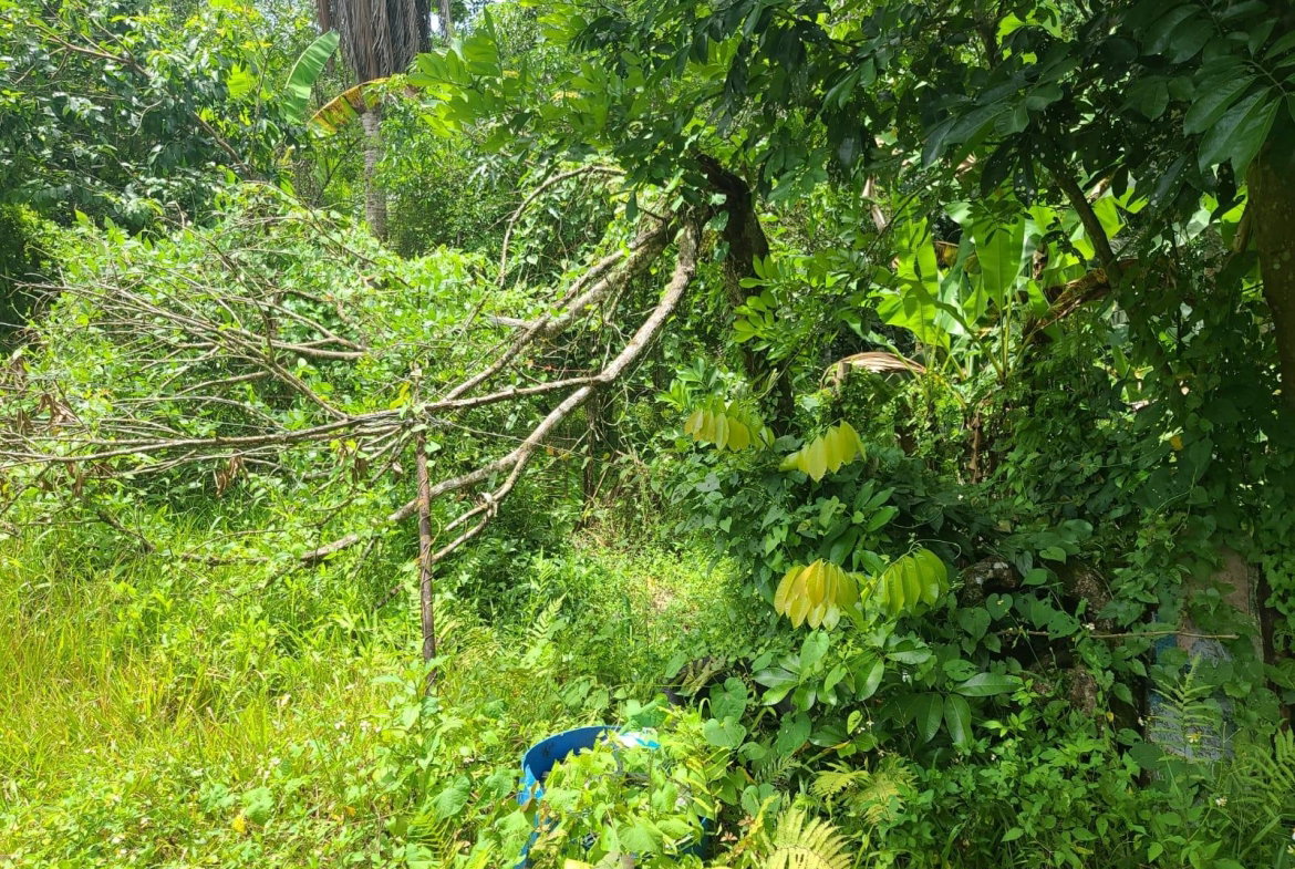 Tenth image of Bickersteth in Montego Bay, St. James, Jamaica - property is For Sale