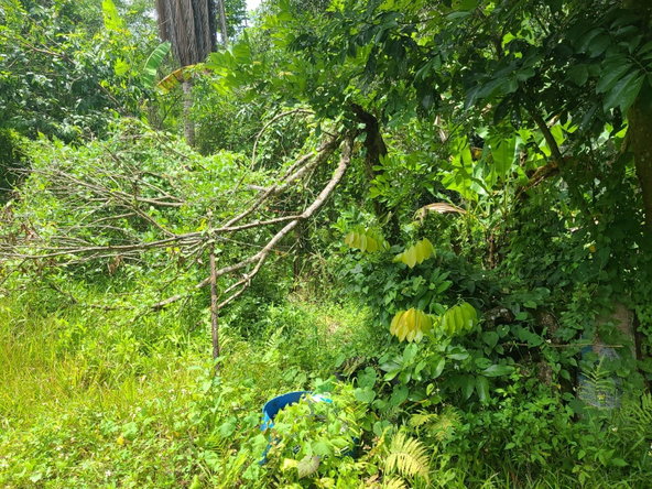 Tenth image of Bickersteth in Montego Bay, St. James, Jamaica - property is For Sale