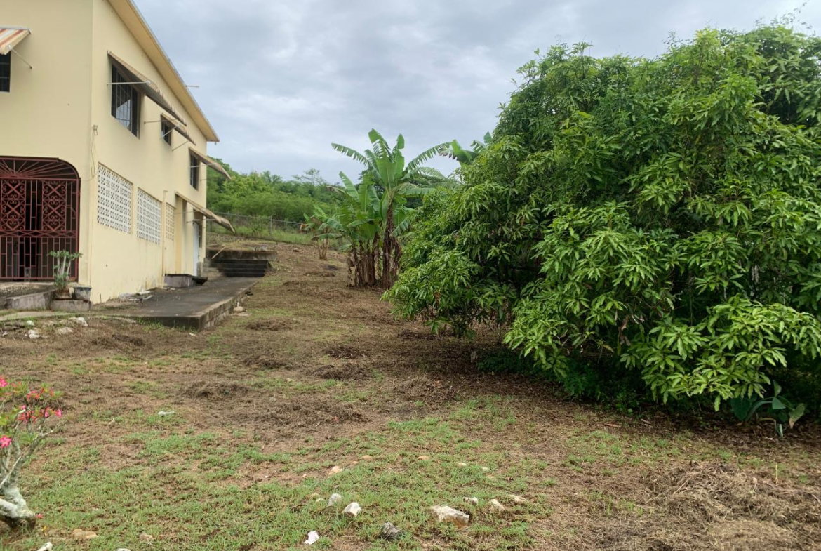 Fifth image of Green Park Trelawny in Falmouth, Trelawny, Jamaica - property is For Sale